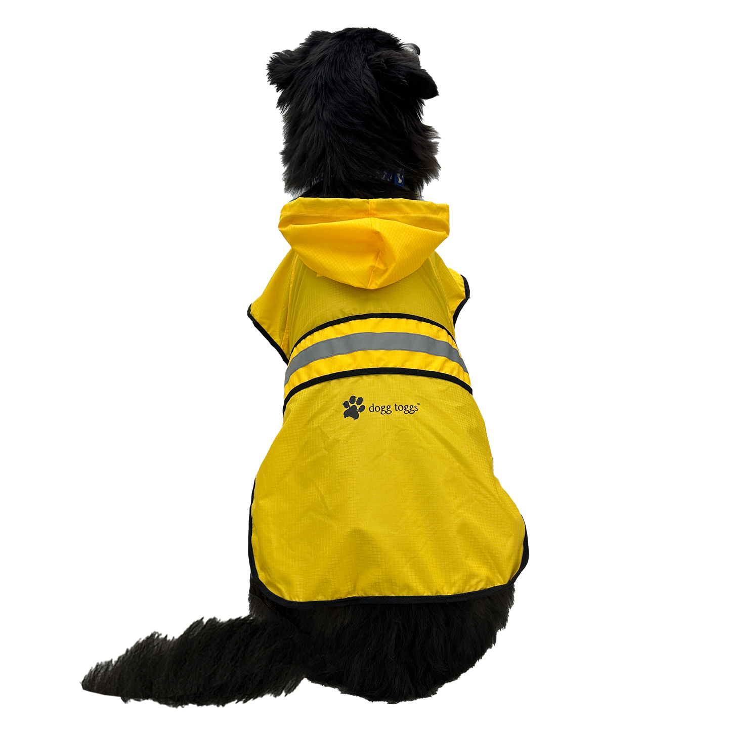 Dog wearing a yellow raincoat with reflective stripes on a white background