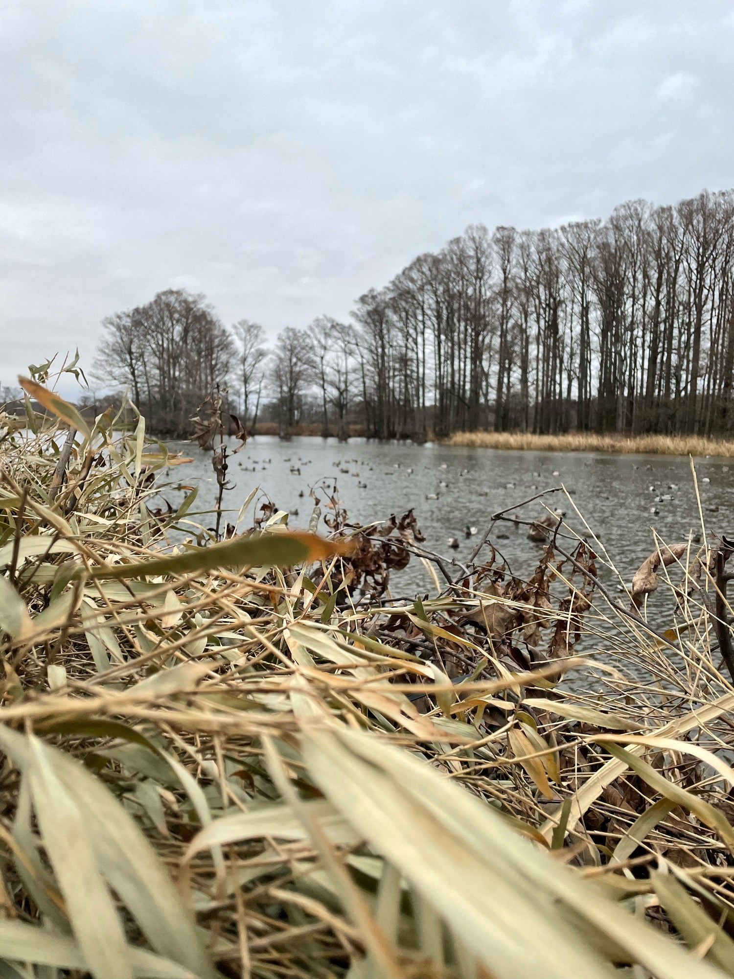 Youth Hunting Waders