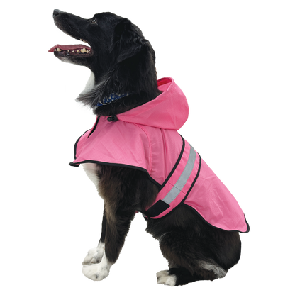 Dog wearing a pink raincoat with a reflective stripe on a white background