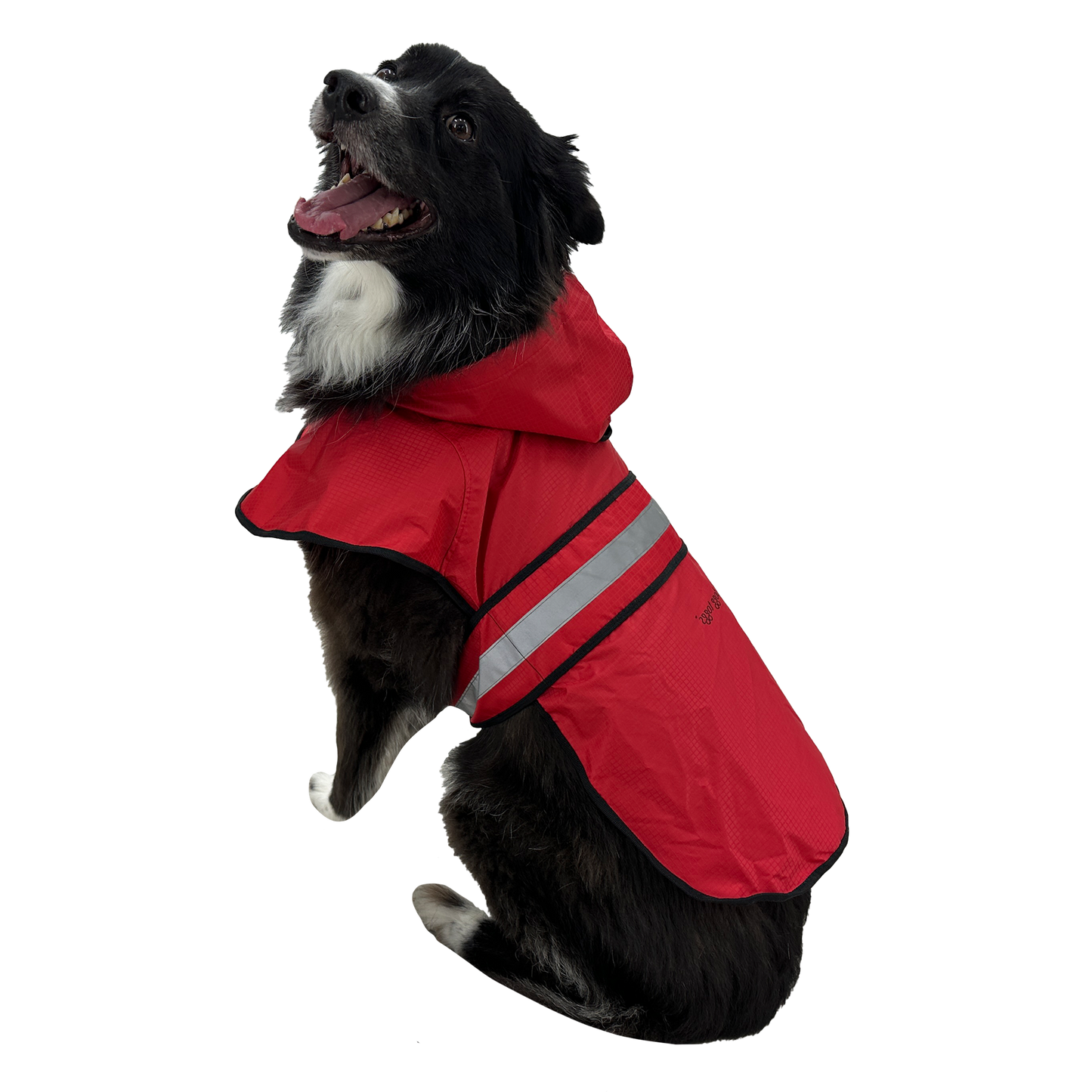 Dog wearing a red raincoat with reflective stripes on a white background