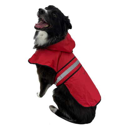Dog wearing a red raincoat with reflective stripes on a white background