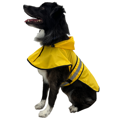 Dog wearing a yellow raincoat with reflective stripes on a white background