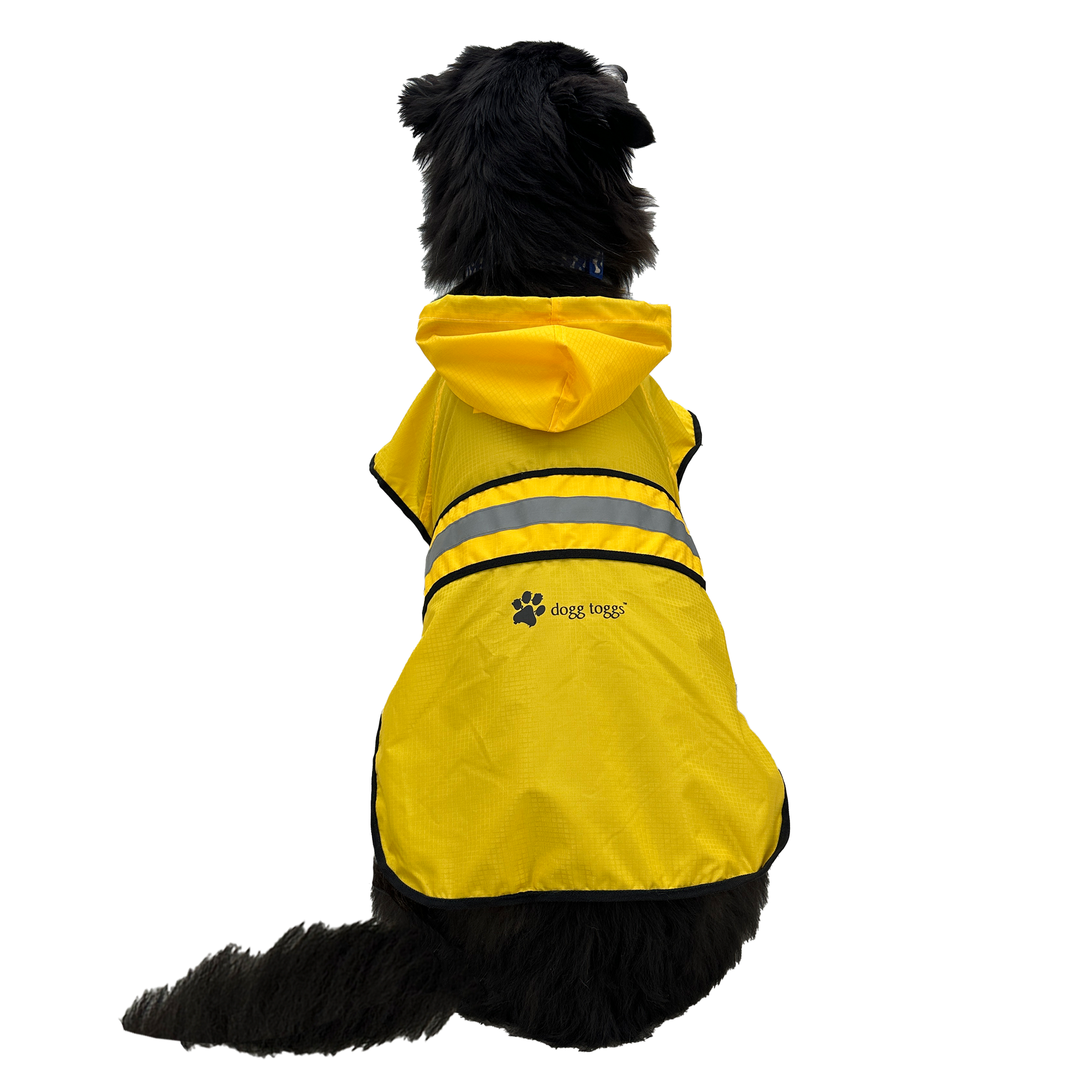 Dog wearing a yellow raincoat with reflective stripes on a white background