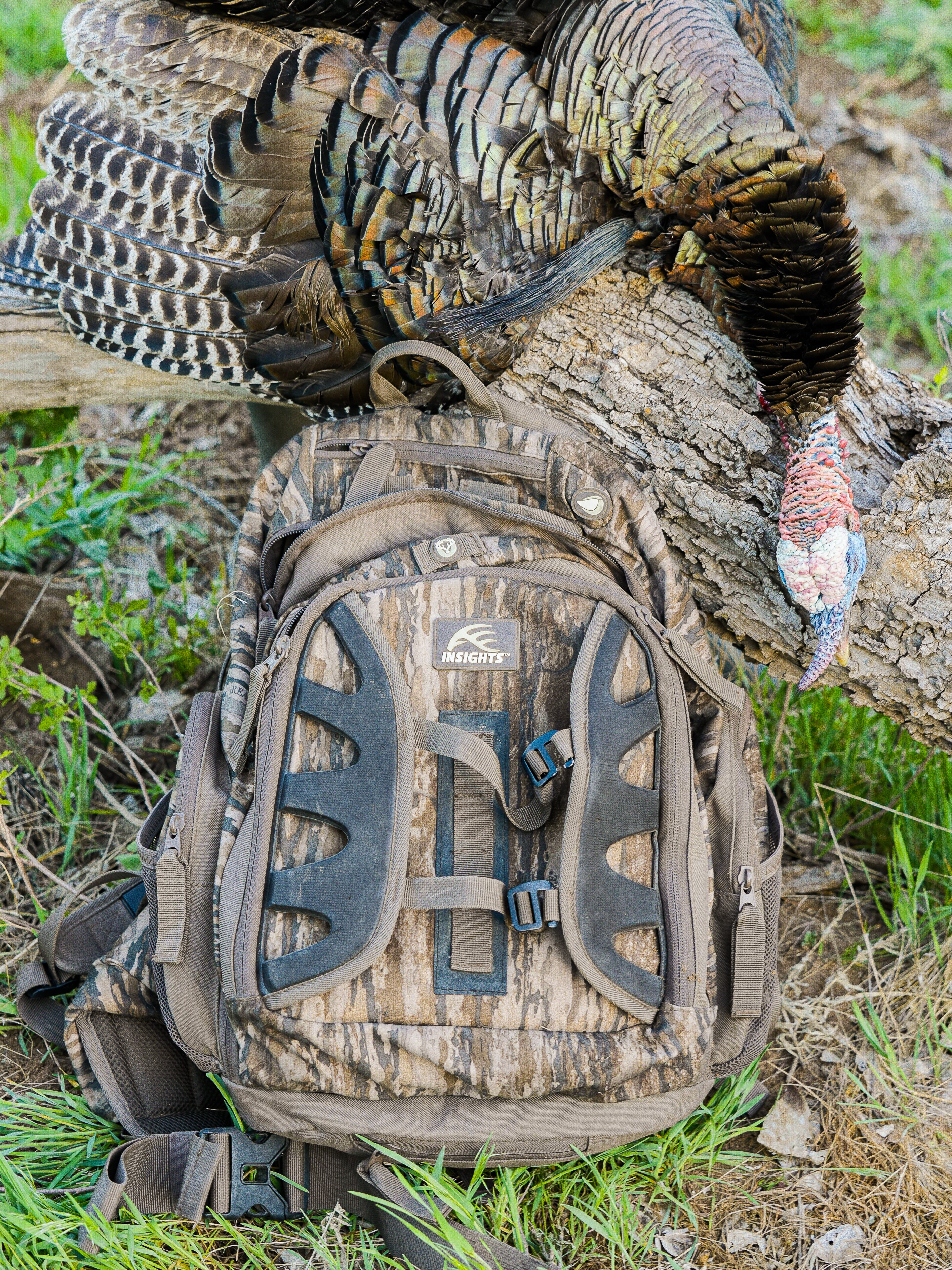 Camouflage backpack with a turkey on top in a natural setting