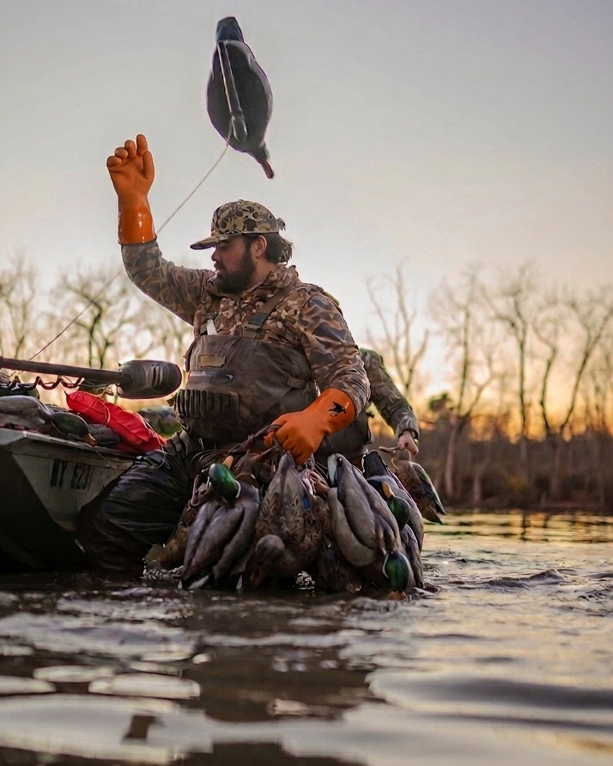 Hunter in water with orange rubber decoy gloves on.  Throwing out duck decoys beside aluminum boat.