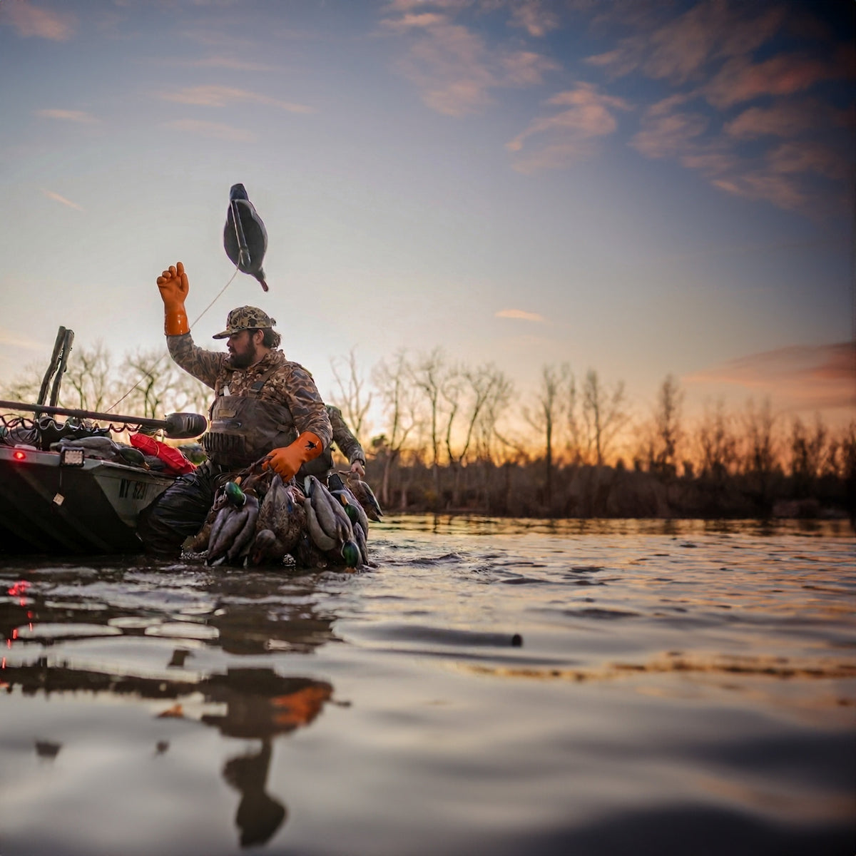 Hunter in water with orange rubber decoy gloves on.  Throwing out duck decoys beside aluminum boat.